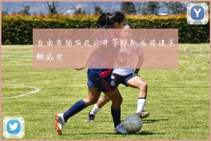 自由市场临近公牛等球队或将追求鲍威尔