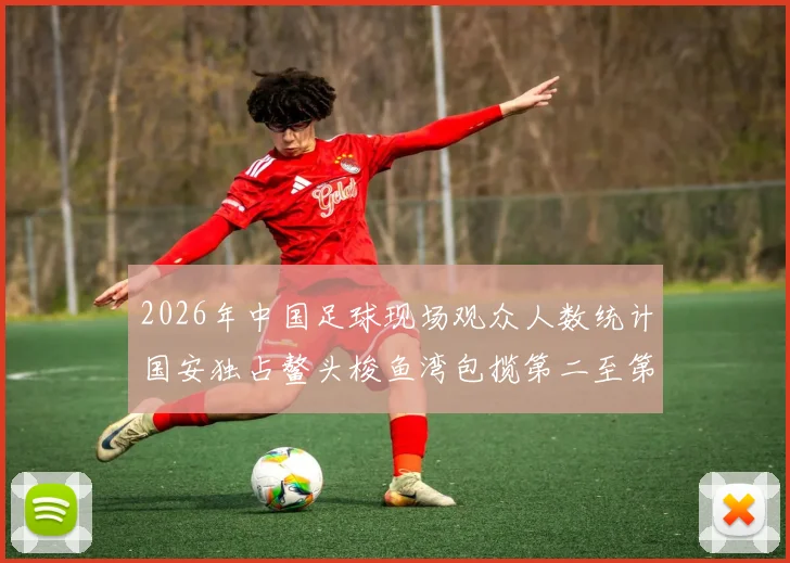 2026年中国足球现场观众人数统计国安独占鳌头梭鱼湾包揽第二至第七位